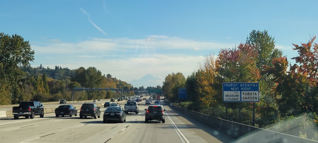 Washington: Lion Fight