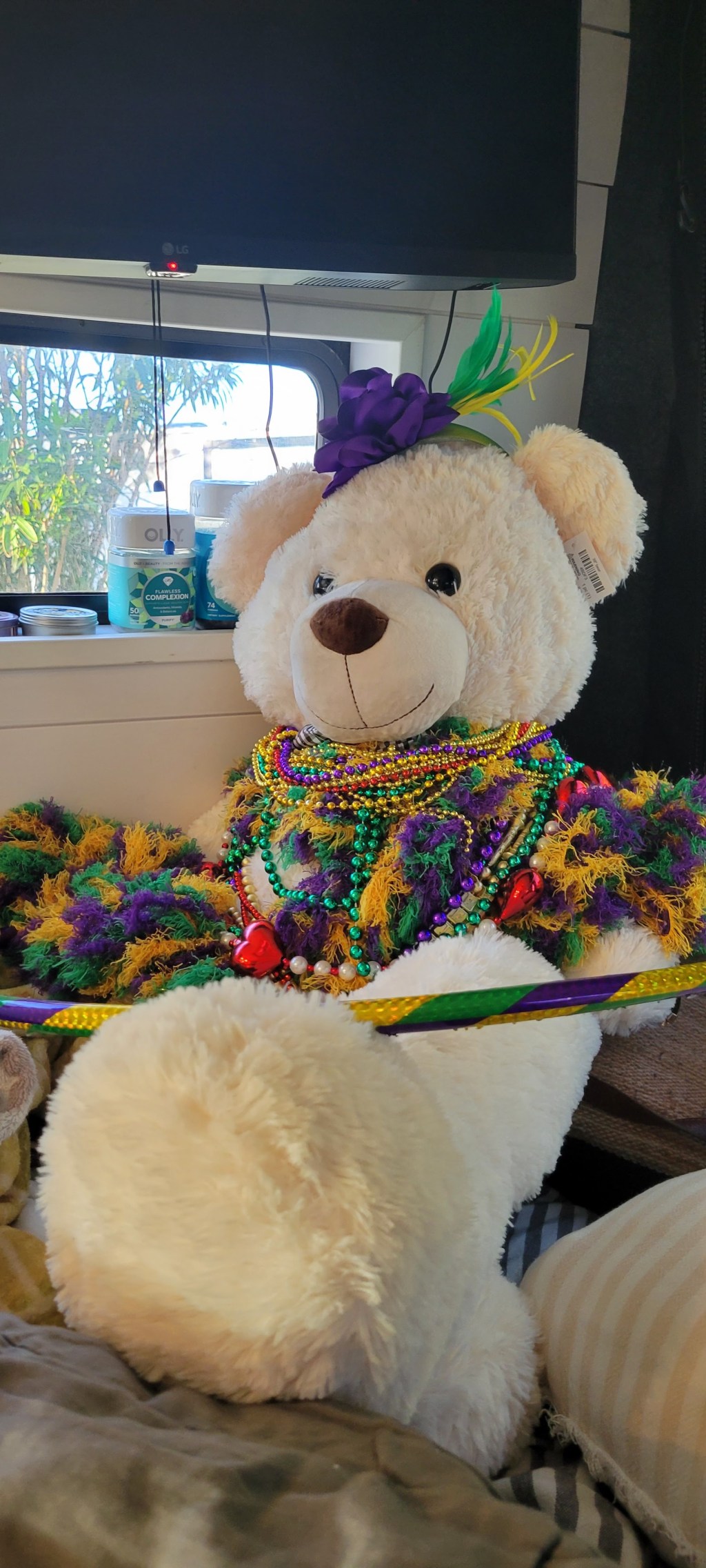 Louisiana: Mardi Gras,&nbsp;Baby